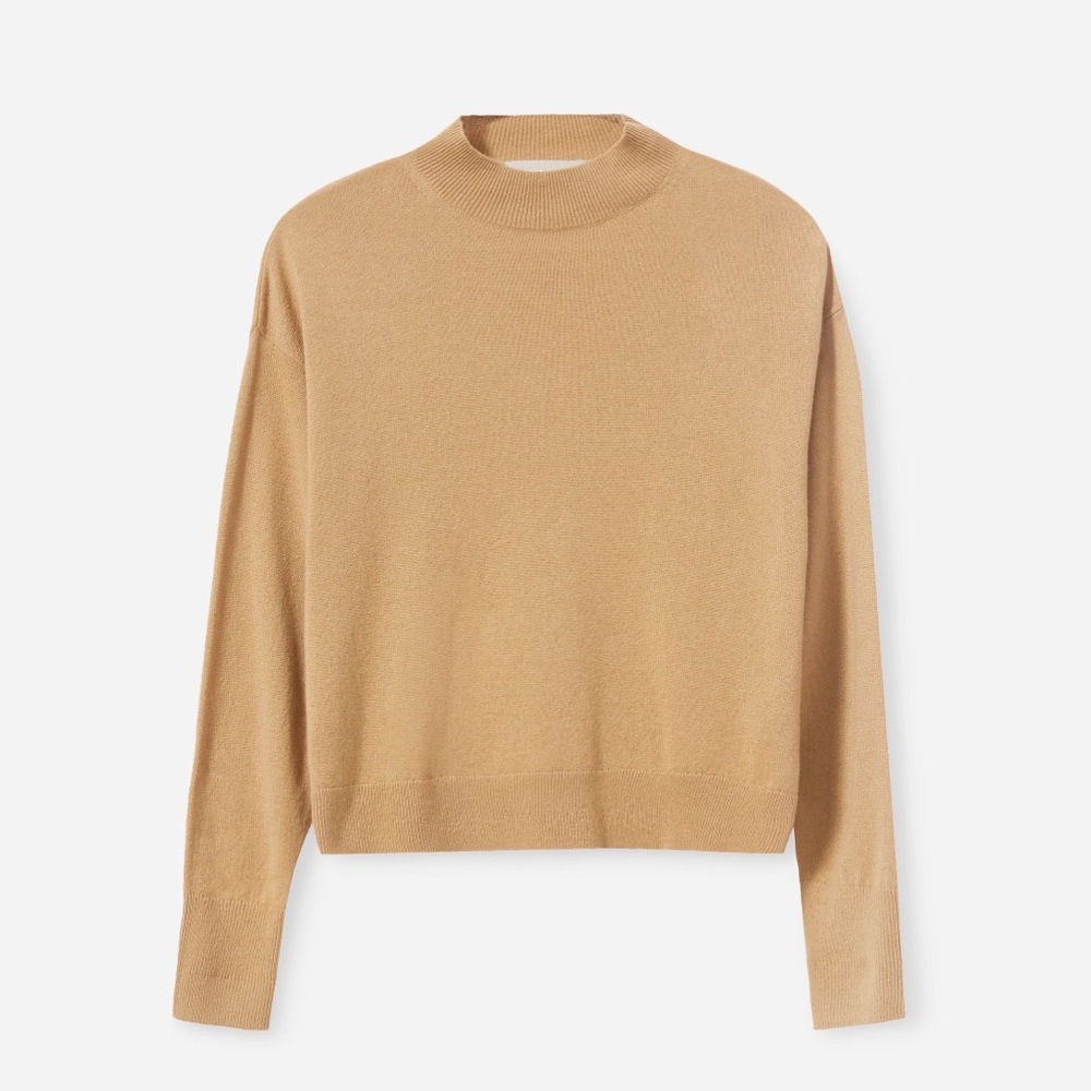 Everlane cashmere mock neck sweater